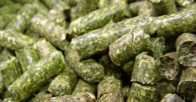 alfalfa pellets